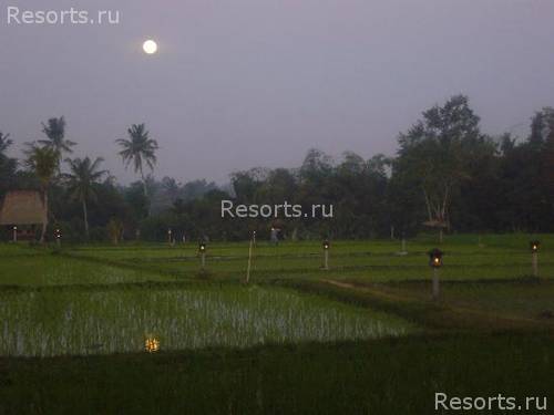 The Chedi Club boutique 44